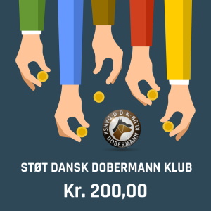Støttebetaling DDK