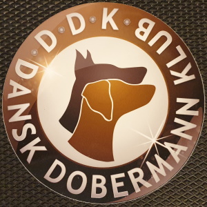 DDK Auto Streamer