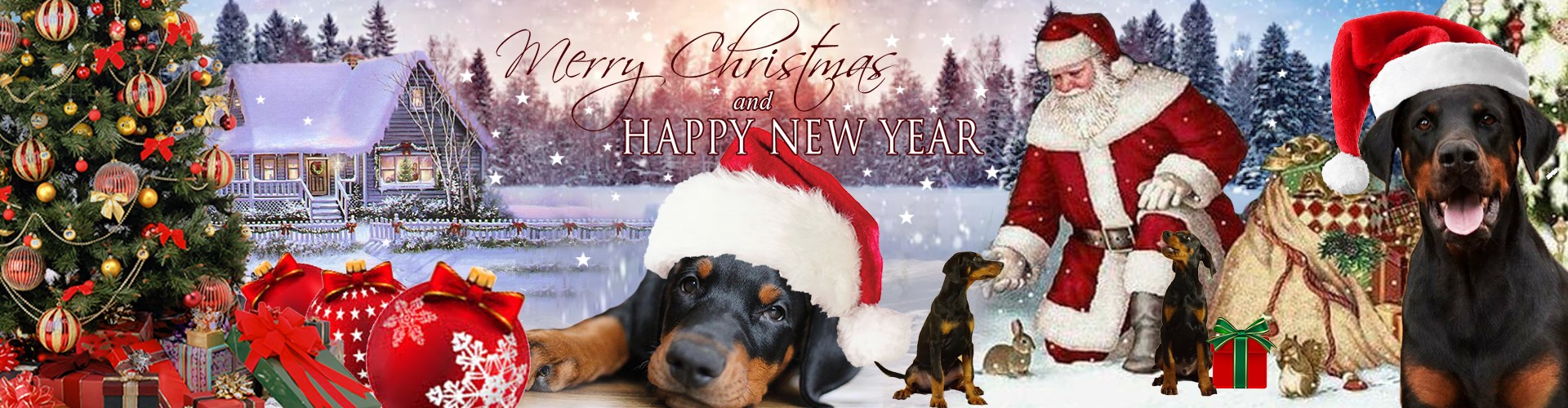 DDK-CHRISTMAS-2020