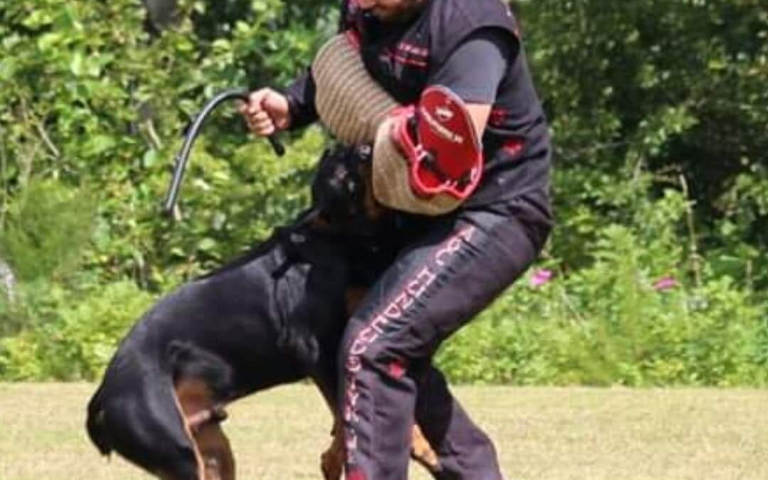 DDK Præsenterer DM for Dobermann 2021
