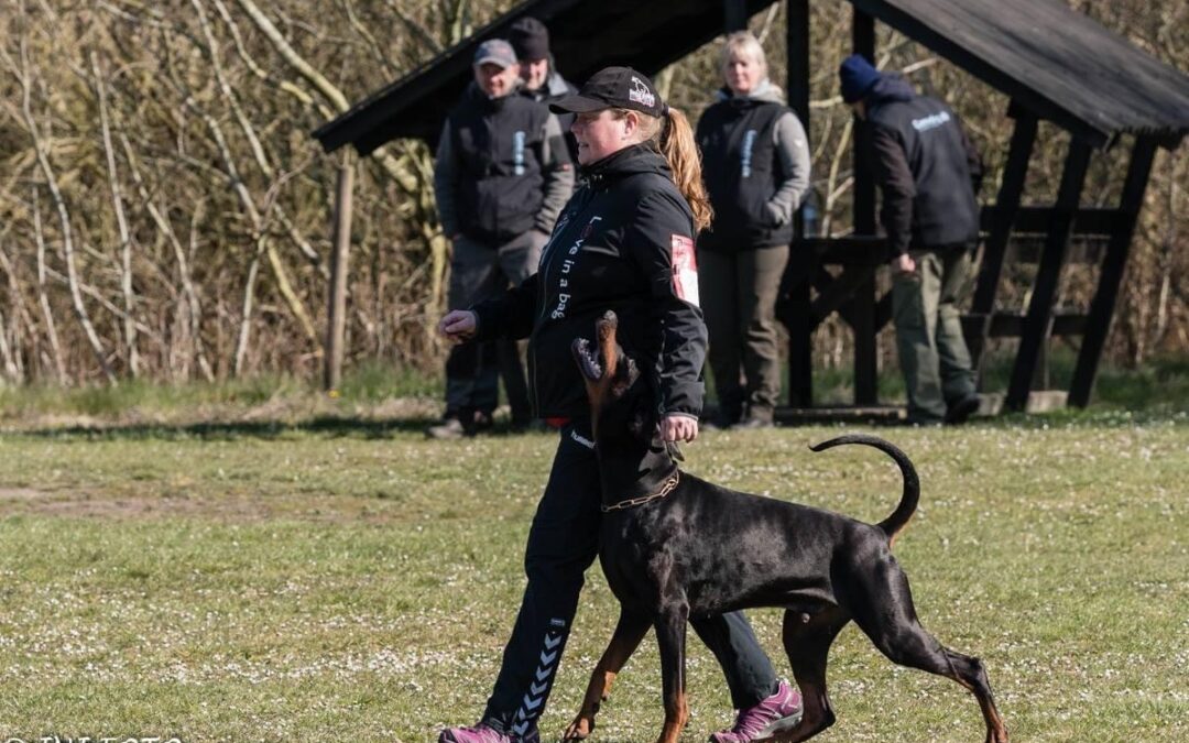 DM for Dobermann 2021