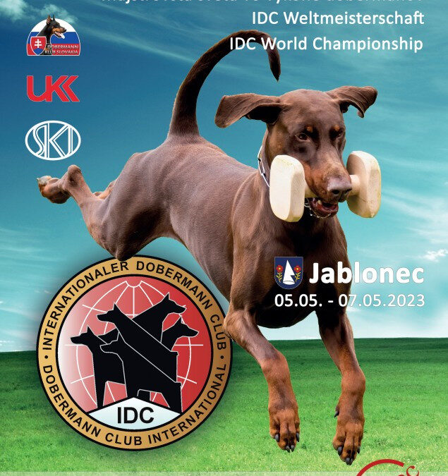 IDC IGP3 WM 2023