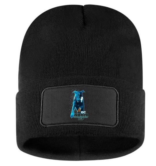 Beanie – Blue Logo