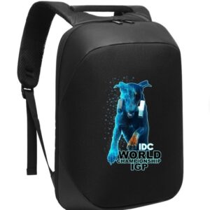 Backpack - With Blue Logo