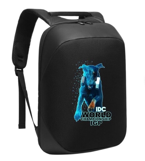 Backpack - With Blue Logo
