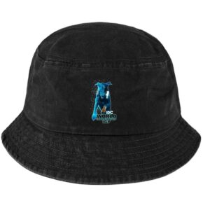 Bucket hat – Blue logo