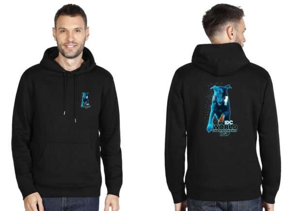 Hoodie - Black With Blue Logo