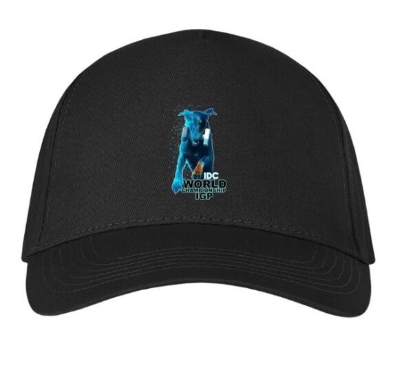 Baseball Cap – Blue Logo