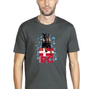 Organic T-Shirt – Gray With Red Logo