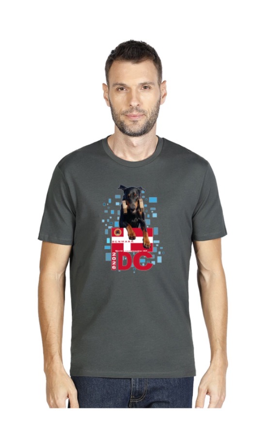 Organic T-Shirt – Gray With Red Logo